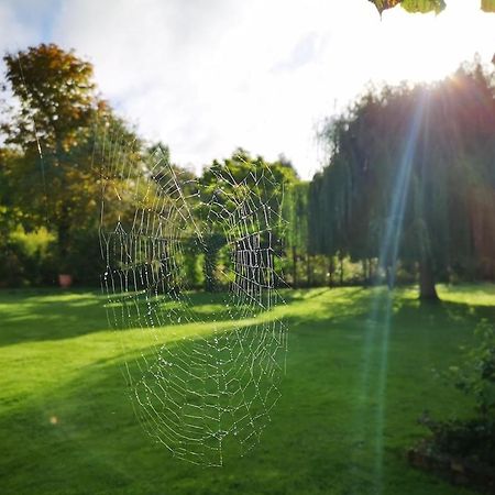 Gite Du Chateau D'Hardelot A Condette Zewnętrze zdjęcie