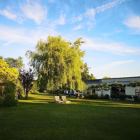 Gite Du Chateau D'Hardelot A Condette Zewnętrze zdjęcie